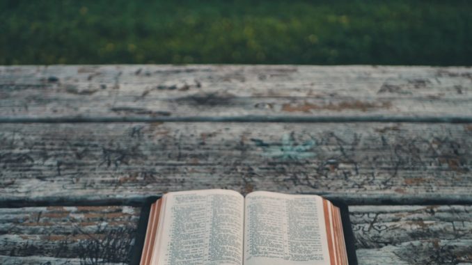 aaron-burden-333062-unsplash