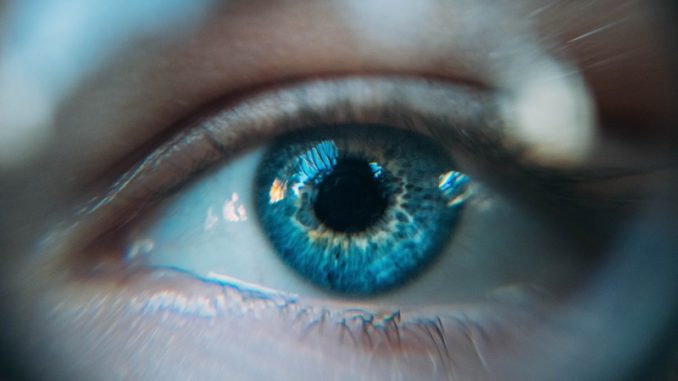 daniil-kuzelev-327645-unsplash