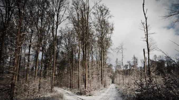 jens-moser-586024-unsplash