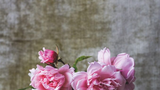 alexandra-seinet-24243-unsplash