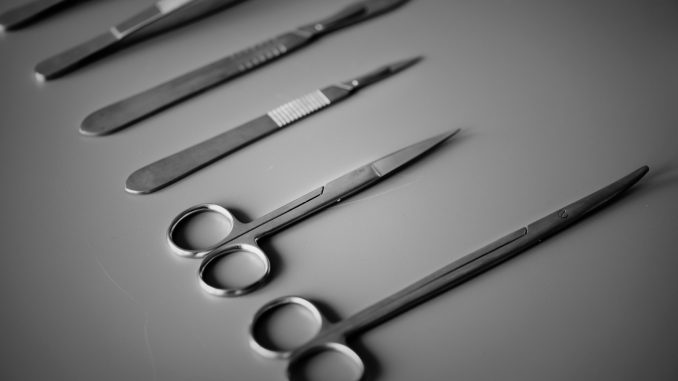 rawpixel-626064-unsplash