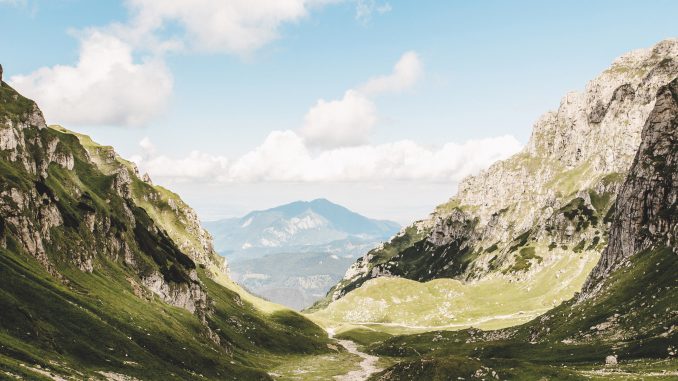 anton-darius-thesollers-307358-unsplash