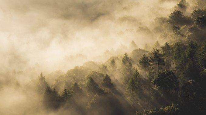 rebecca-prest-660054-unsplash