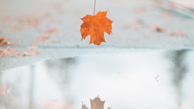 derek-thomson-425630-unsplash