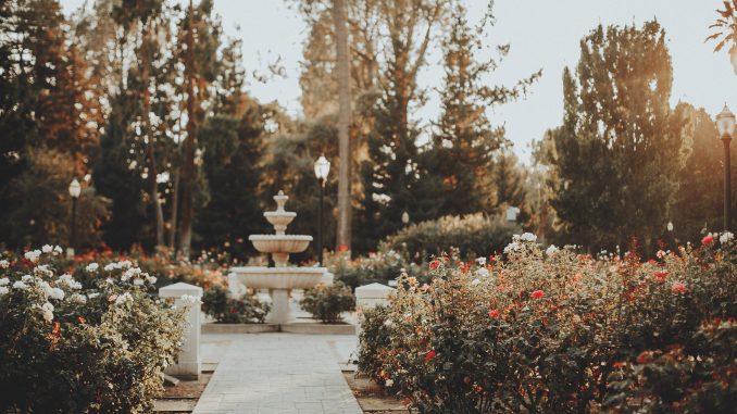 marisa-morton-545150-unsplash