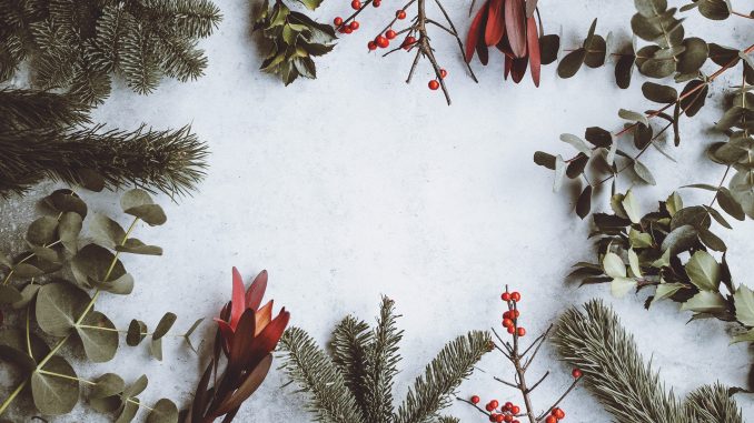 annie-spratt-469223-unsplash