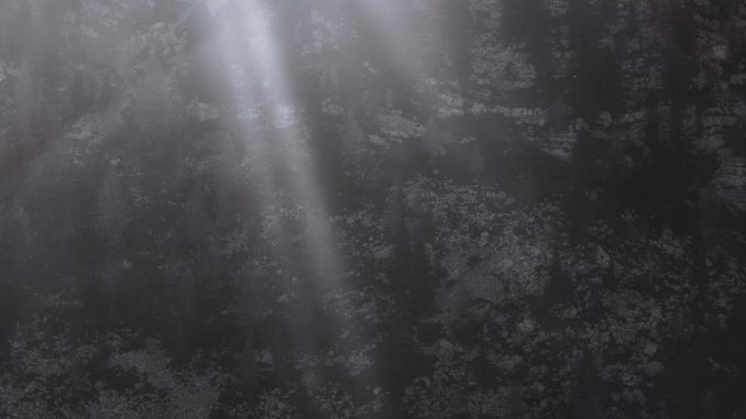 eberhard-grossgasteiger-415234-unsplash