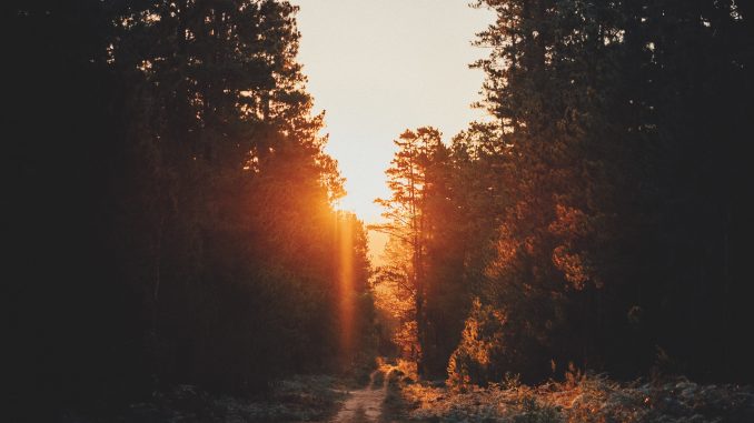 lidya-nada-636066-unsplash