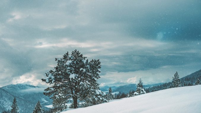 torbjorn-sandbakk-224192-unsplash