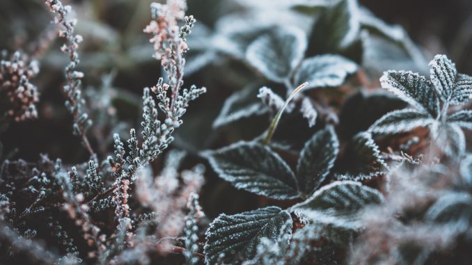 annie-spratt-1074424-unsplash