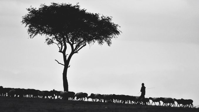 pawan-sharma-392079-unsplash