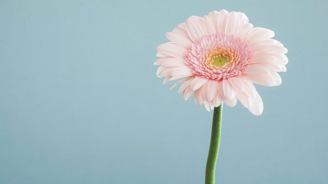 andrew-small-127196-unsplash