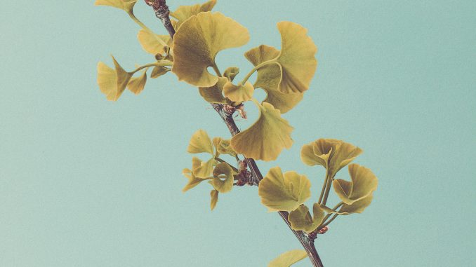 kendal-james-632187-unsplash